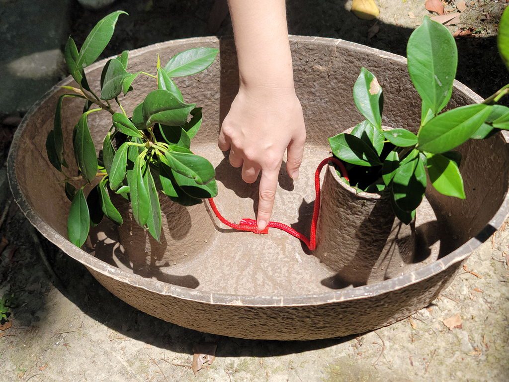 ZenZhou Water-Storing Seedling Pot