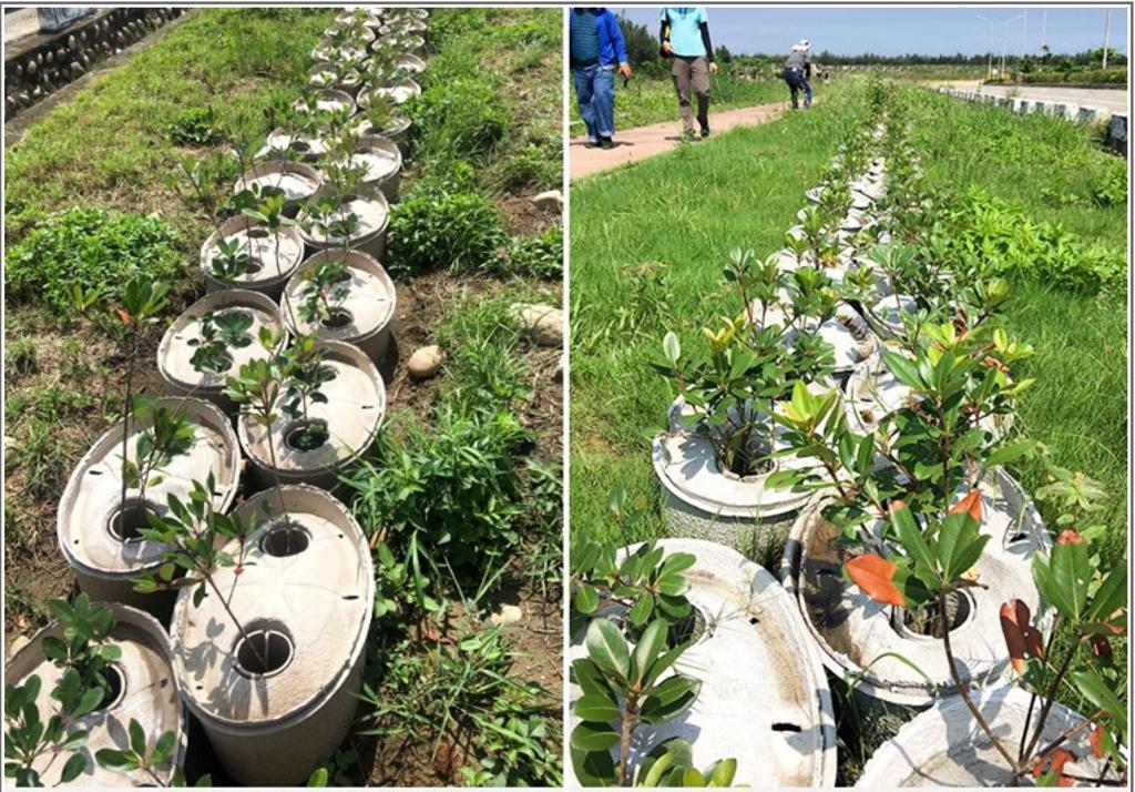 ZenZhou Water-Storing Seedling Pot ZenZhou Water-Storing Seedling Pot