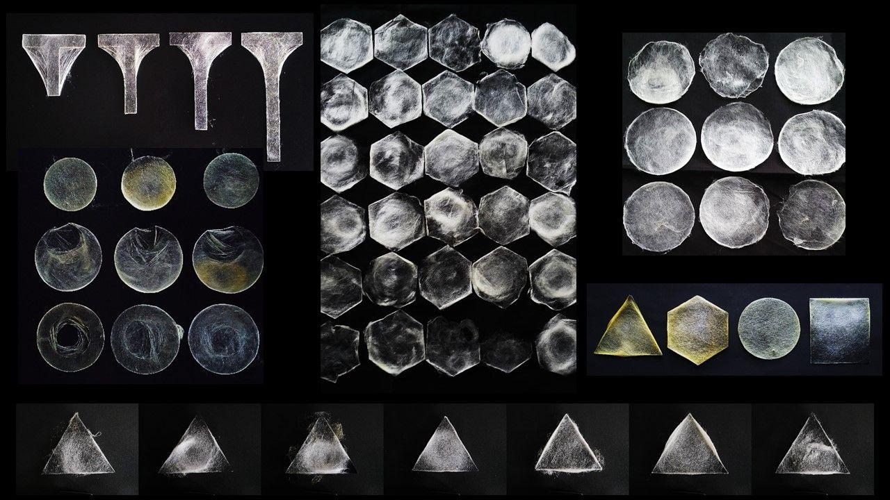 biomaterial biomaterial