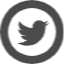 Twitter-logo-free-icon-1.png?mtime=20190813210008#asset:8606939