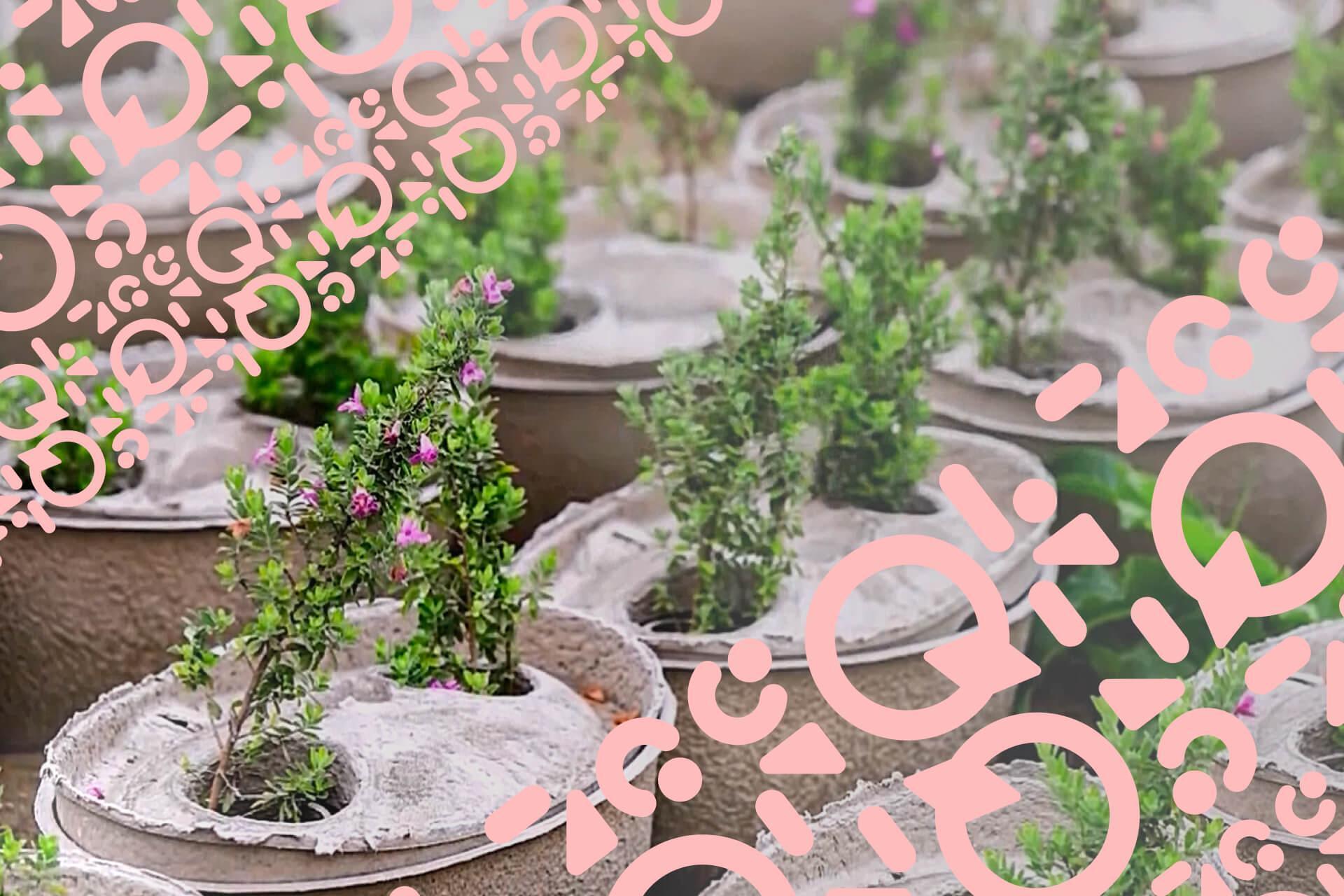 企業が取り組むサステナブルを後押しする、グローバル・アワード「crQlr Awards」